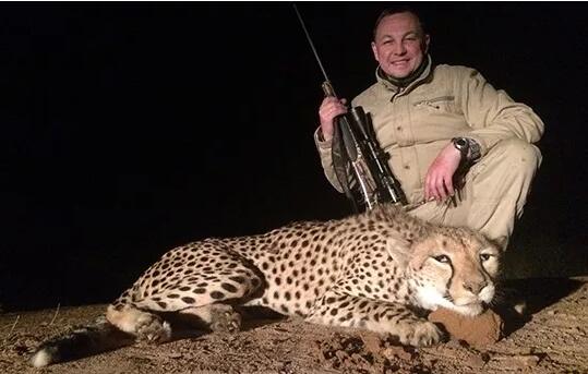 纳米比亚狩猎金钱豹、猎豹